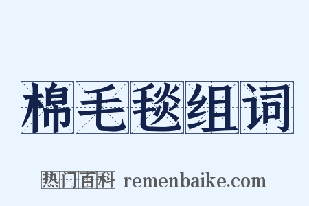 棉毛毯组词是什么意思的图片